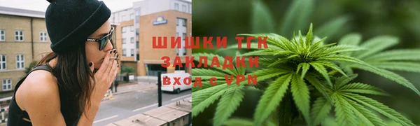 гашик Белокуриха