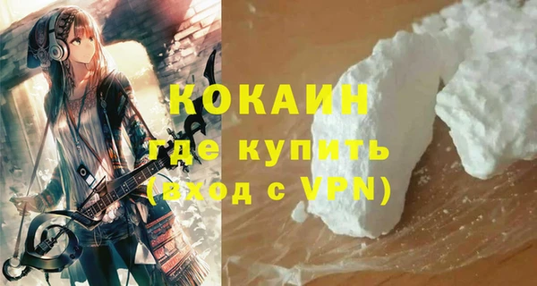 гашик Белокуриха