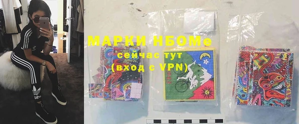гашик Белокуриха