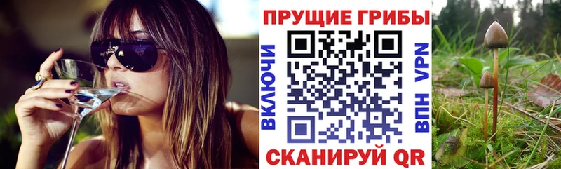 omg как войти  Жуков  Галлюциногенные грибы ЛСД 